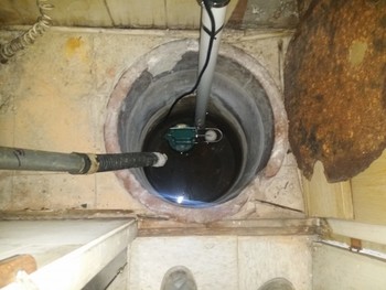 Installed new sump pump and check valve Mundelein, IL