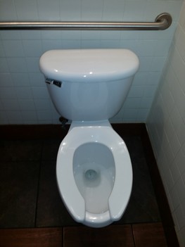 Installed new toilet for commercial building, IL