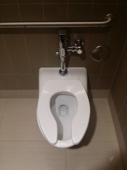 Installed new toilet for restaurant bathroom, IL