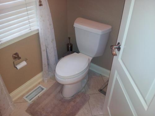 New Toilet and Jacuzzi Installation in Des Plaines, IL