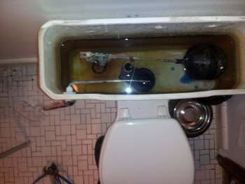 Toilet Repair in Park Ridge, IL