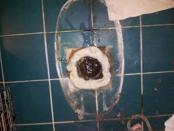 Toilet Repair in Elk Grove, IL