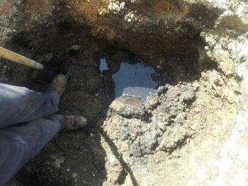 Sewer Repair Buffalo Grove