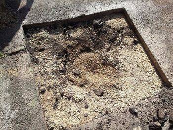 Sewer Repair Buffalo Grove